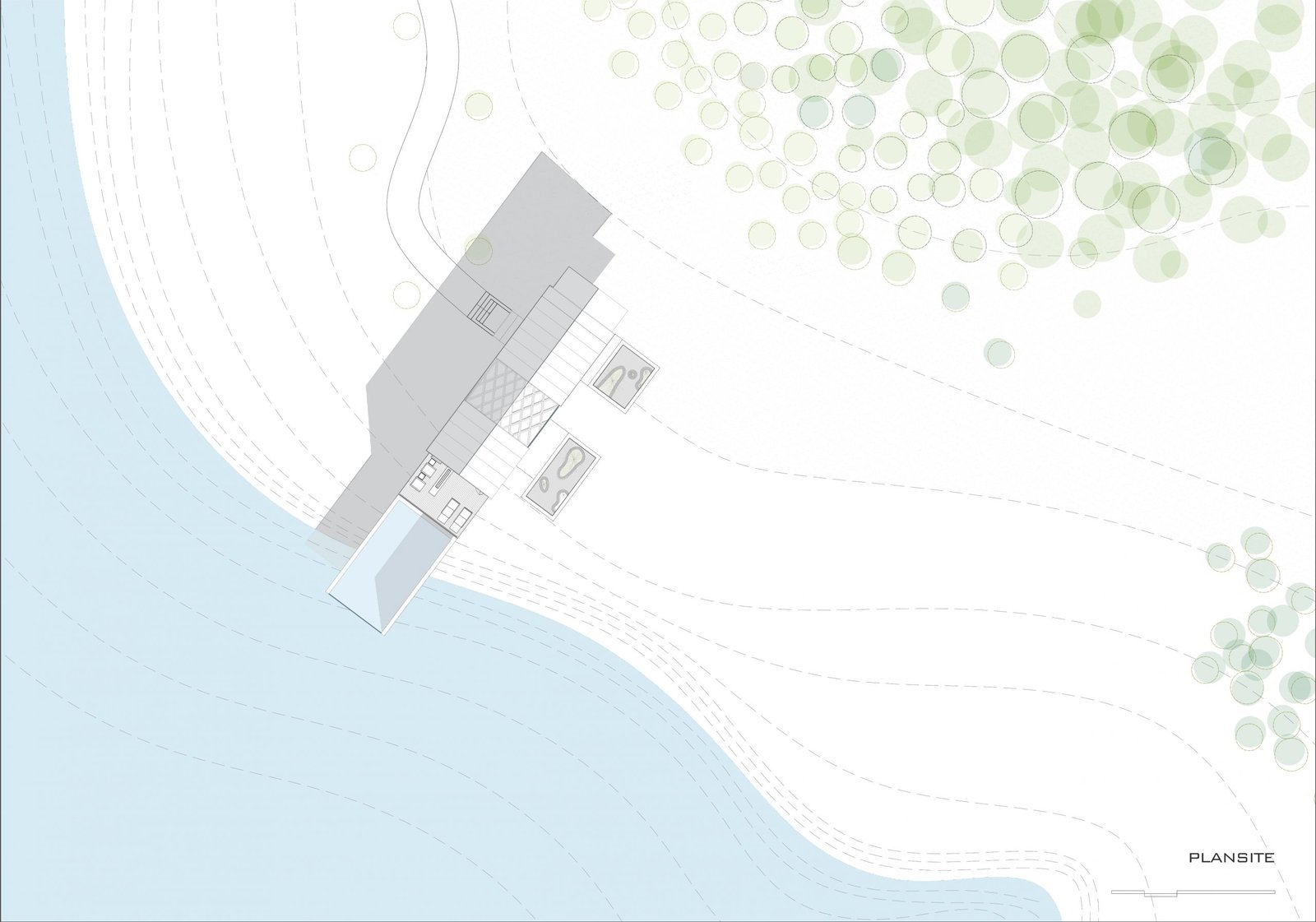 Modern Villa